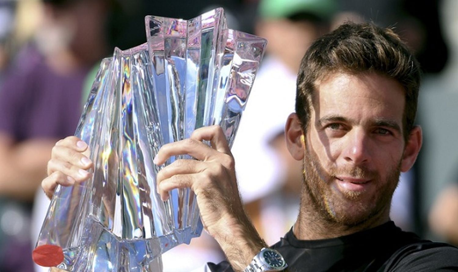 Del Potro venció a Federer y conquistó su primer Masters 1000