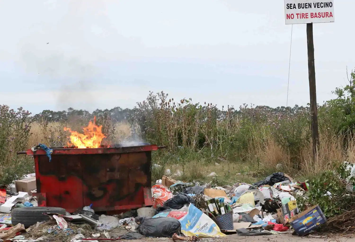 Lo multaron tras ser filmado cuando arrojaba basura en Buenos Aires y Chapaleofú