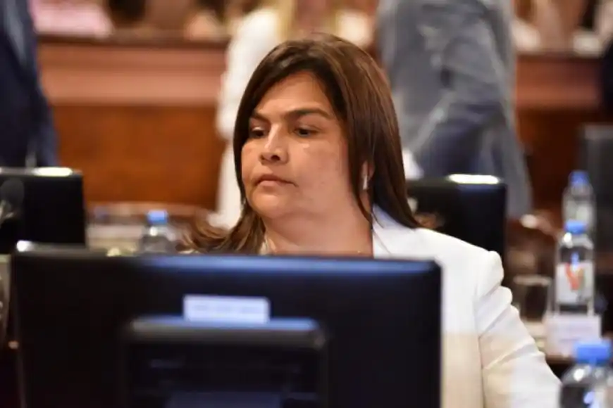 “Sentimos desazón como padres”: El descargo de Mariel Ávila, tras el like de Milei a un mensaje discriminatorio