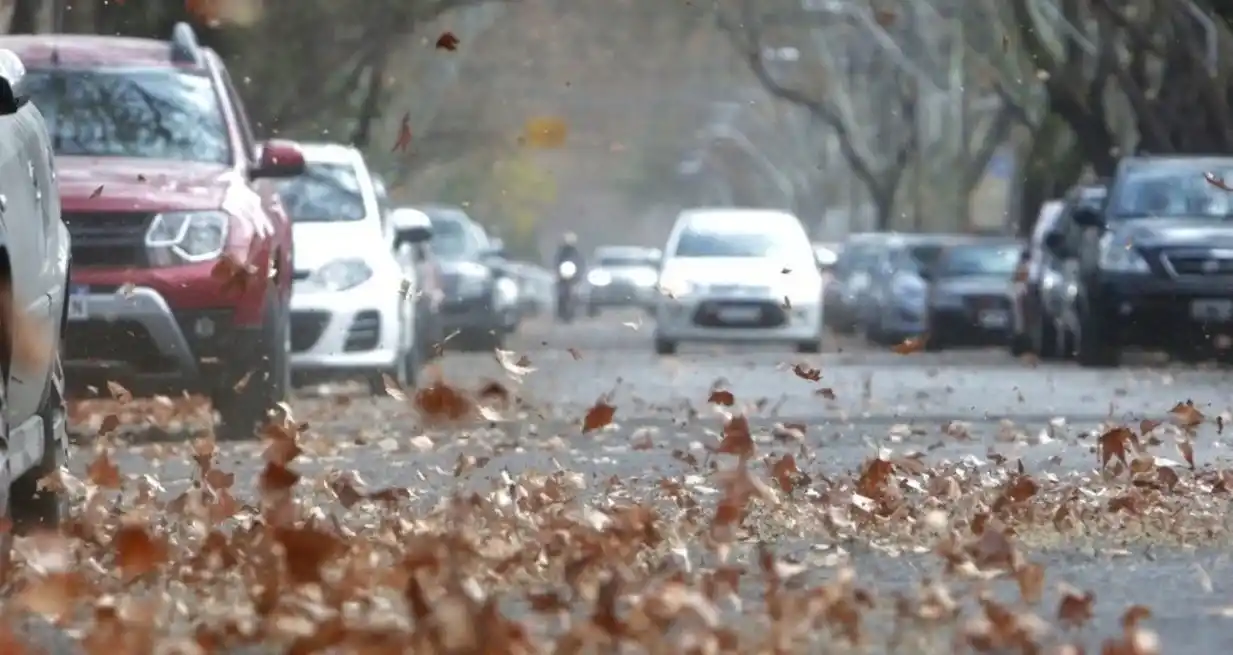 Las condiciones ventosas persistirán hasta el viernes. Ilustrativa.