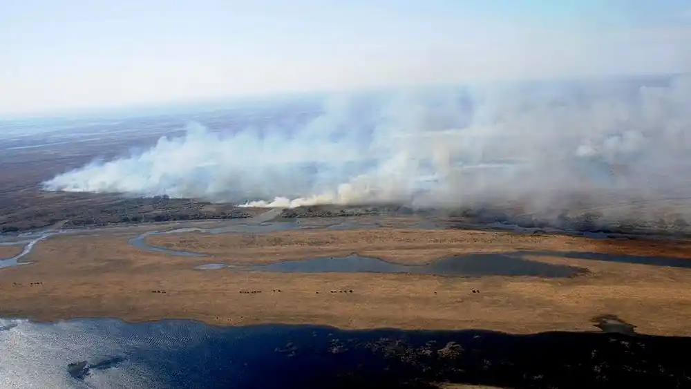 Condenaron a dos apicultores por un incendio intencional en las islas del Delta de Paraná