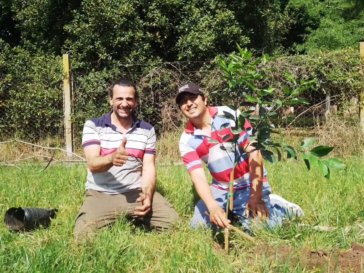 Se plantaron trece árboles frutales en la Escuela “Rudecindo Alvarado”