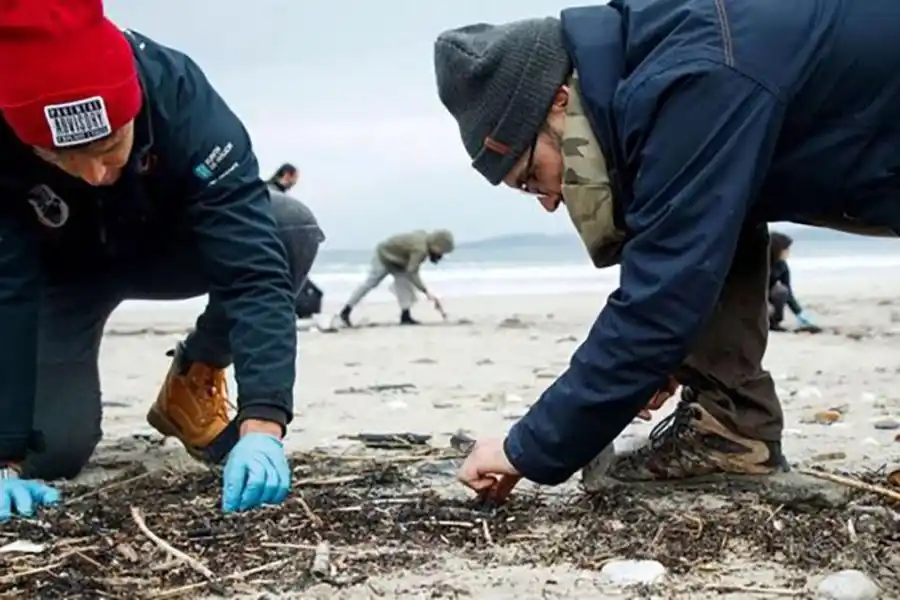 Una invasión de bolitas plásticas sacude a la costa europea y preocupa a especialistas