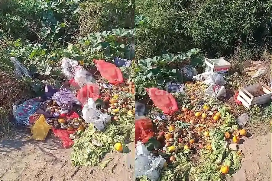 Más denuncias por basura en la vía pública: se encontró con varios kilos de verdura en la calle