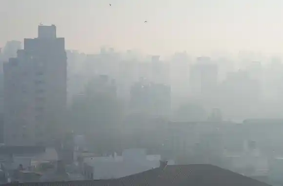 Cuán perjudicial es el humo que respiran los rosarinos por el humo proveniente de las islas
