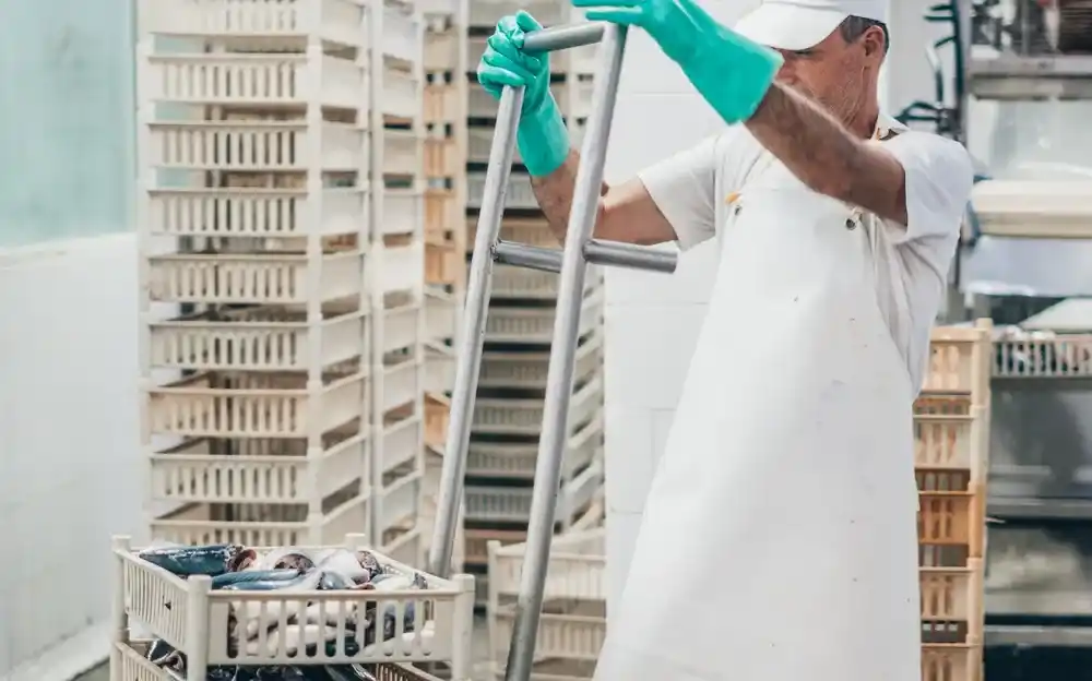 Mar del Plata: cerró una conservera y despidió a unos 40 trabajadores