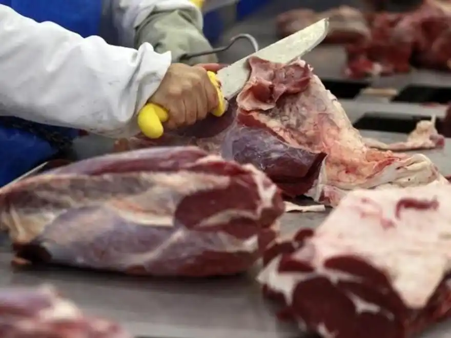 El consumo de carne cayó 10 % en lo que va del 2026 y sigue en el nivel más bajo de los últimos 20 años
