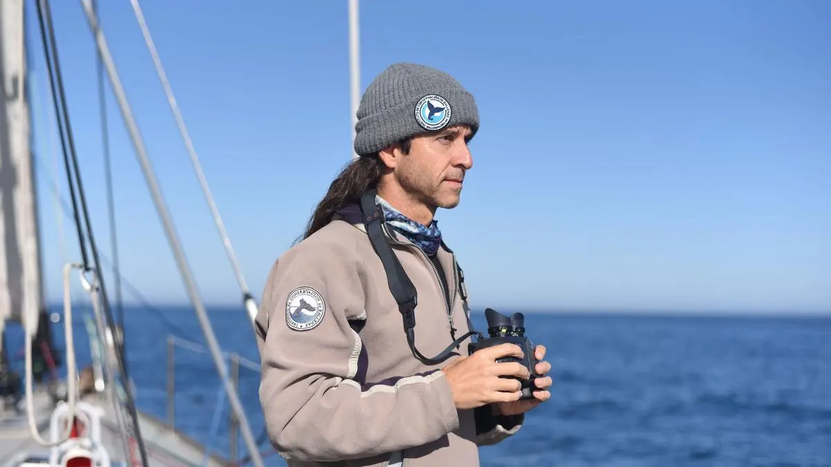 La población de ballenas está creciendo y cada vez se verán más en Necochea
