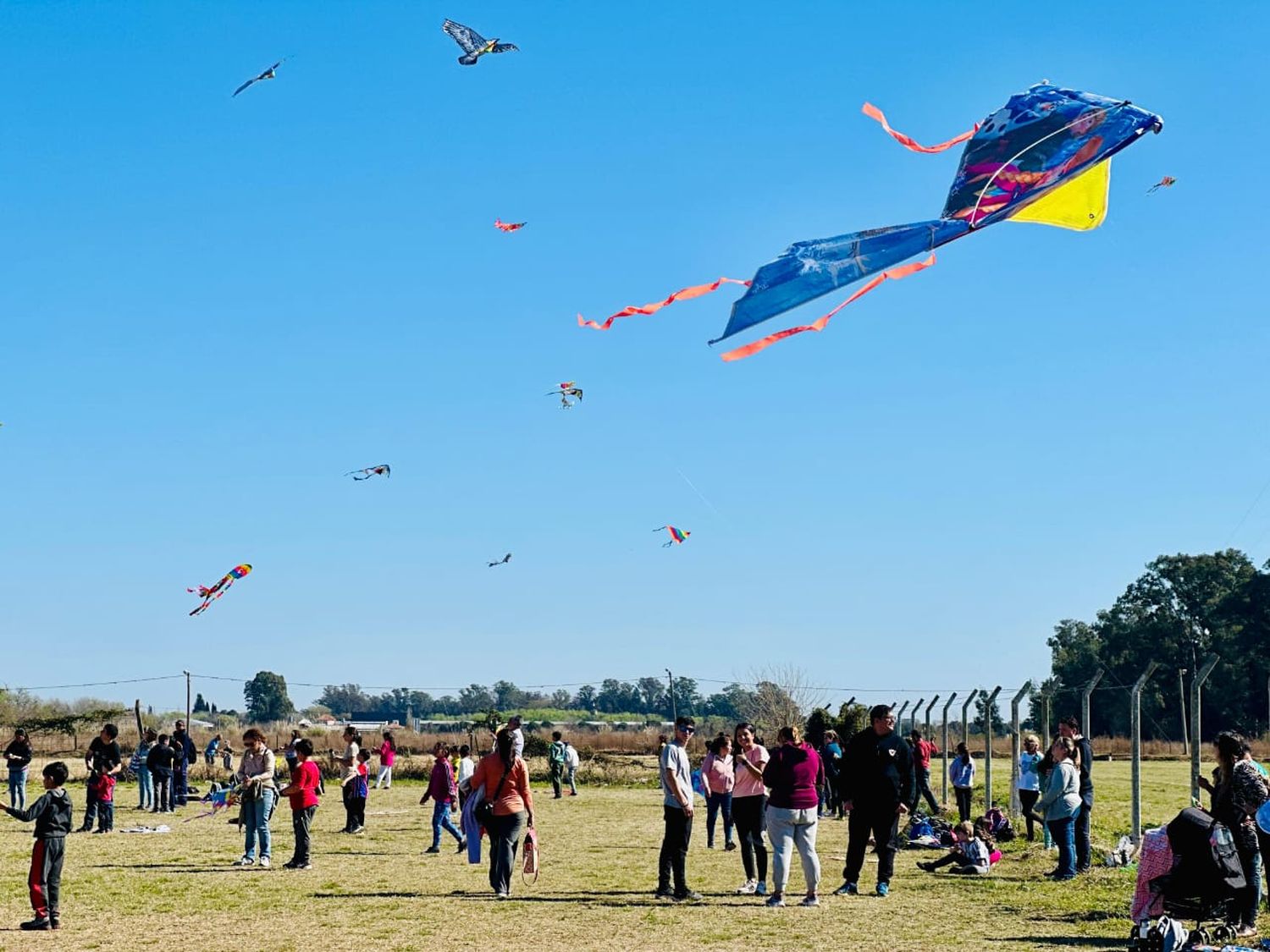 Importante participación de familias con sus barriletes.