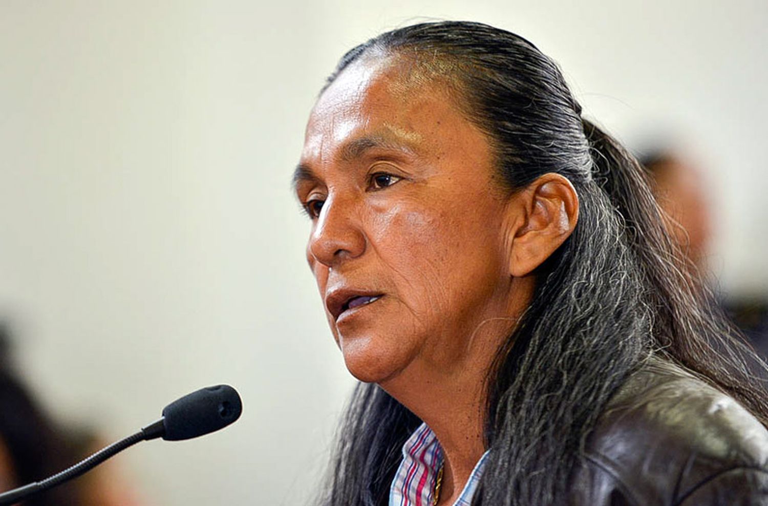 «Milagro Sala no es una presa política», destacó el fiscal de Estado de Jujuy