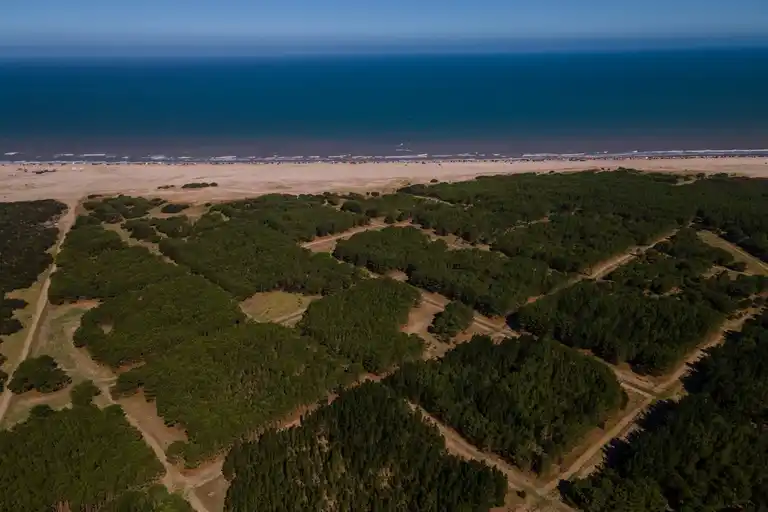 Pinamar: Municipio aseguró que avanzarán en el proyecto Montecarlo, la ciudad balnearia proyectada hace un siglo