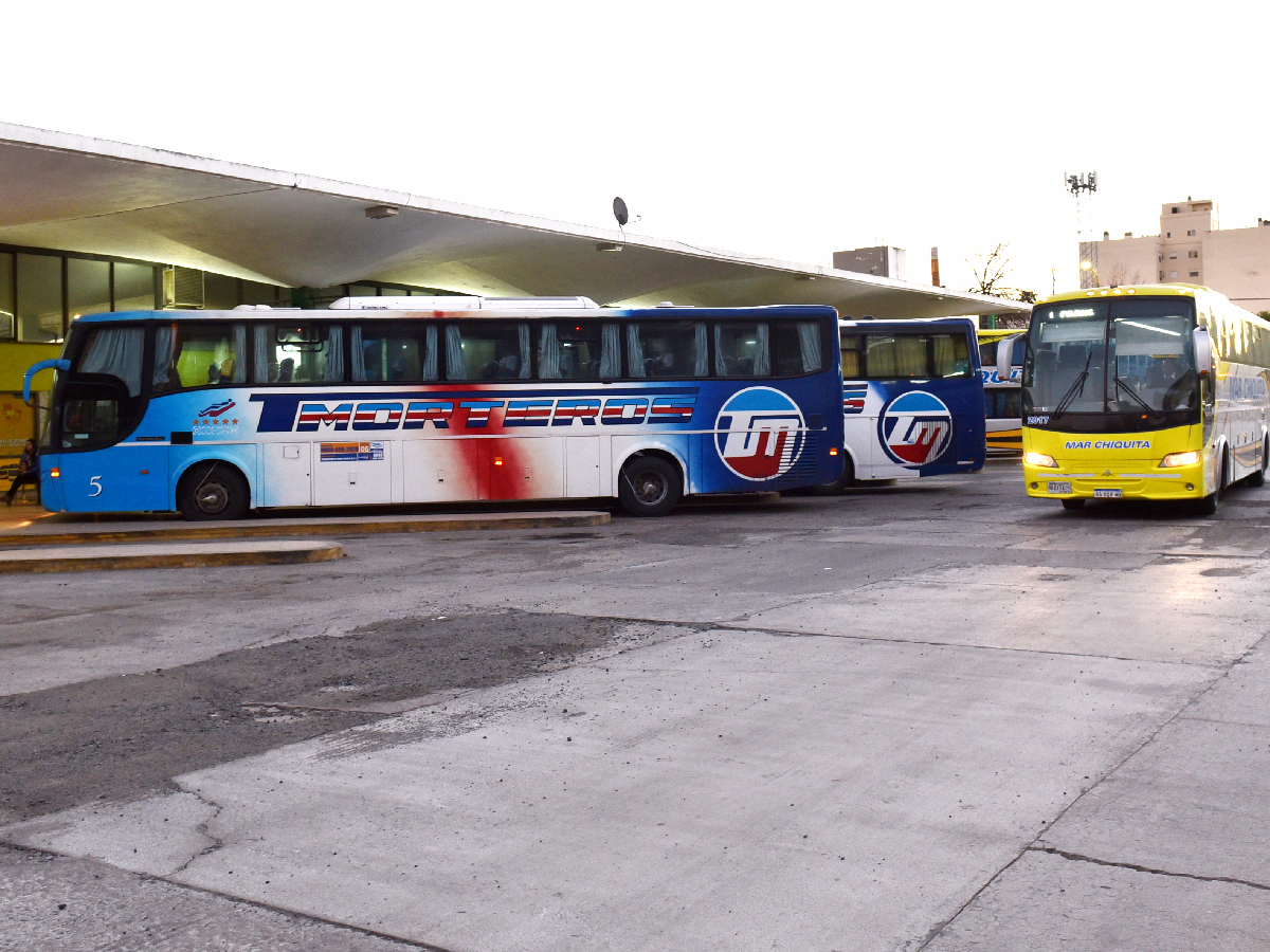 Elecciones: habrá transporte gratuito el domingo para votar