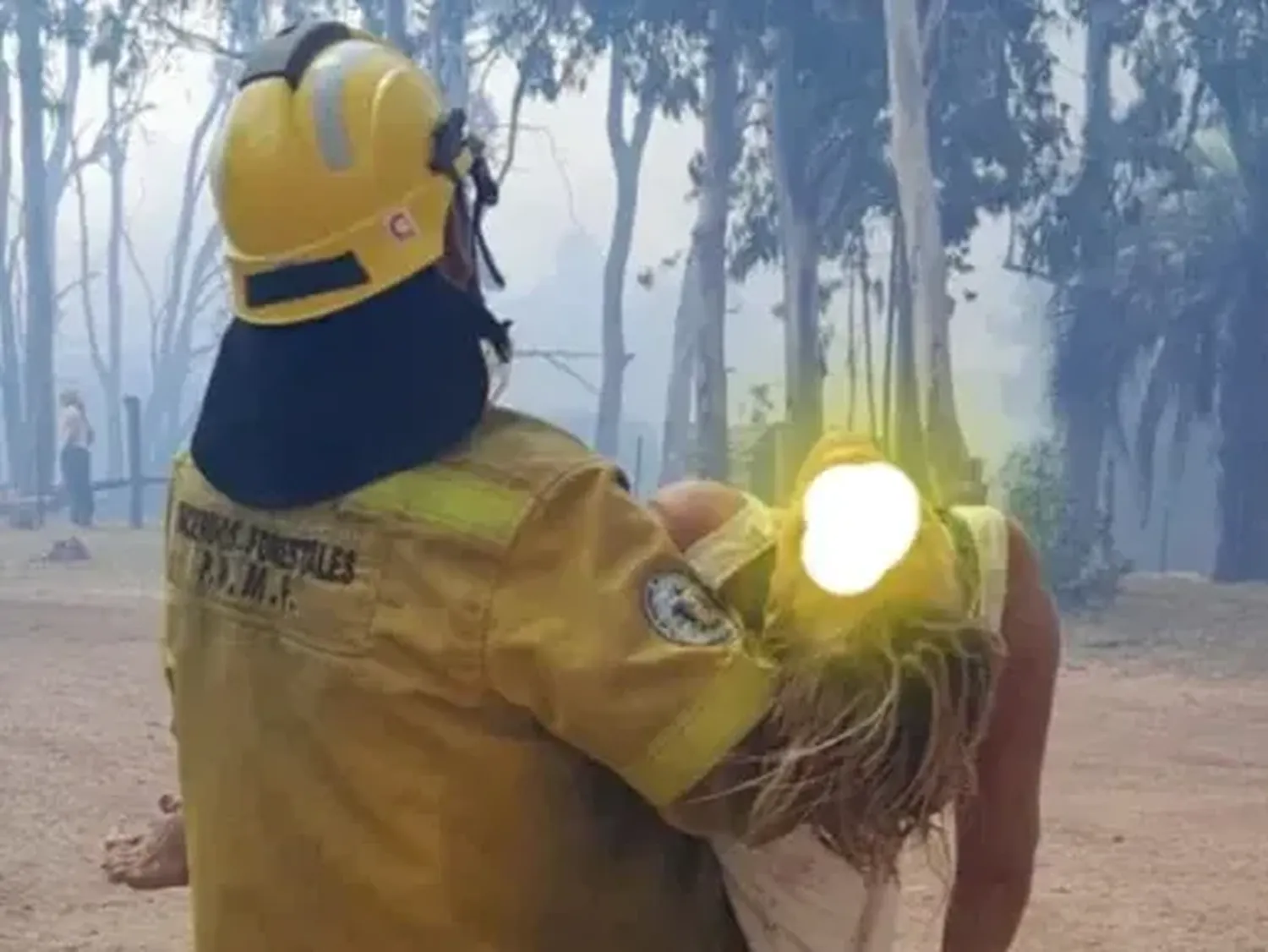 Un bombero rescató a una mujer que se descompensó en medio de un incendio