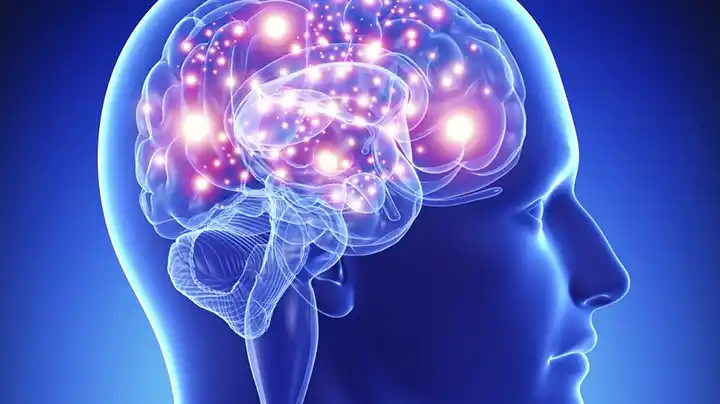 Se dictó una actualización sobre Neurociencias