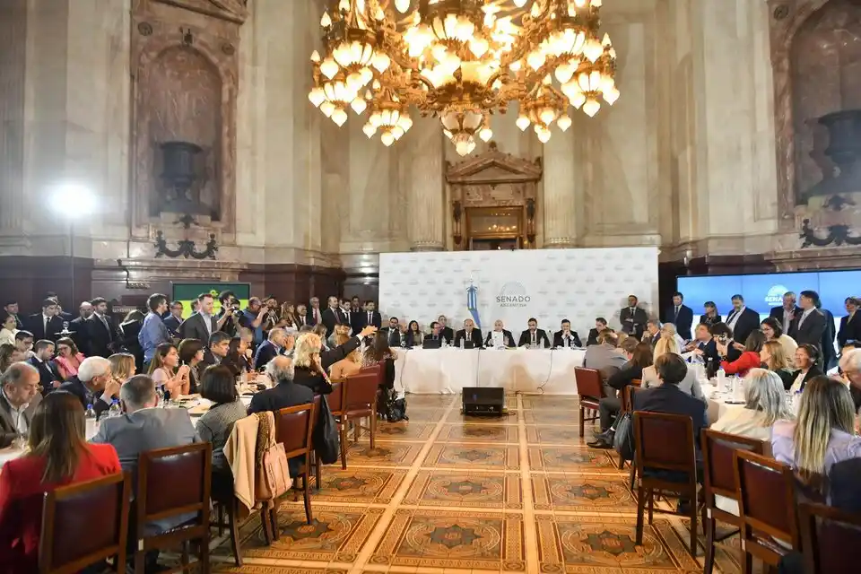 Ley Bases: El oficialismo tuvo un comienzo complicado en el Senado la semana pasada.