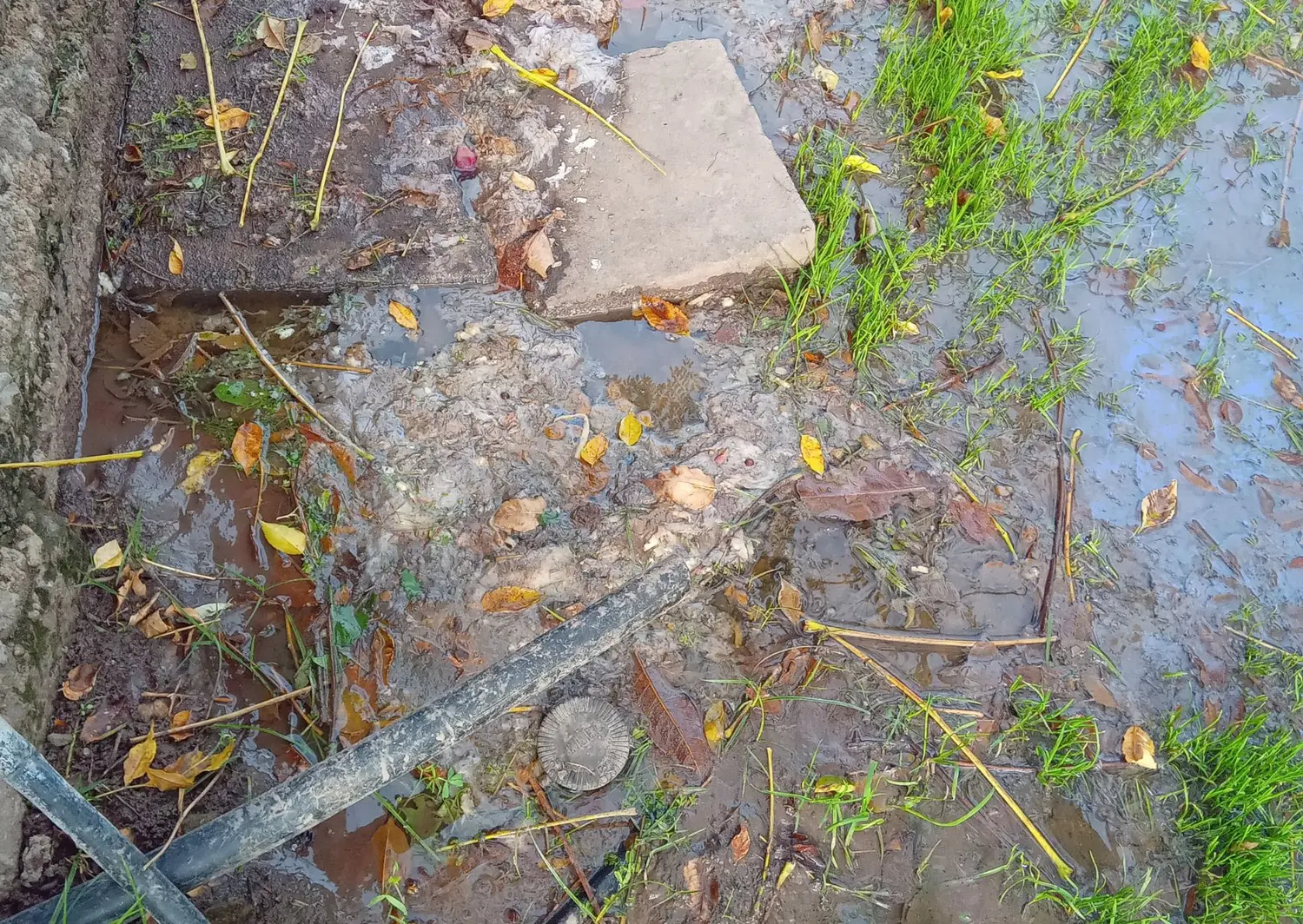 Cloacas tapadas en calle Brenan: no podemos ni ir al baño