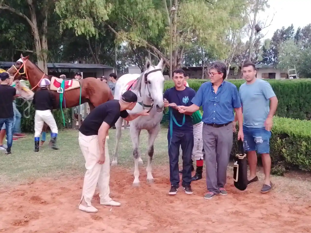 Turf: Radiante Boy y Noah Tom, los ganadores de la Copa Criadores