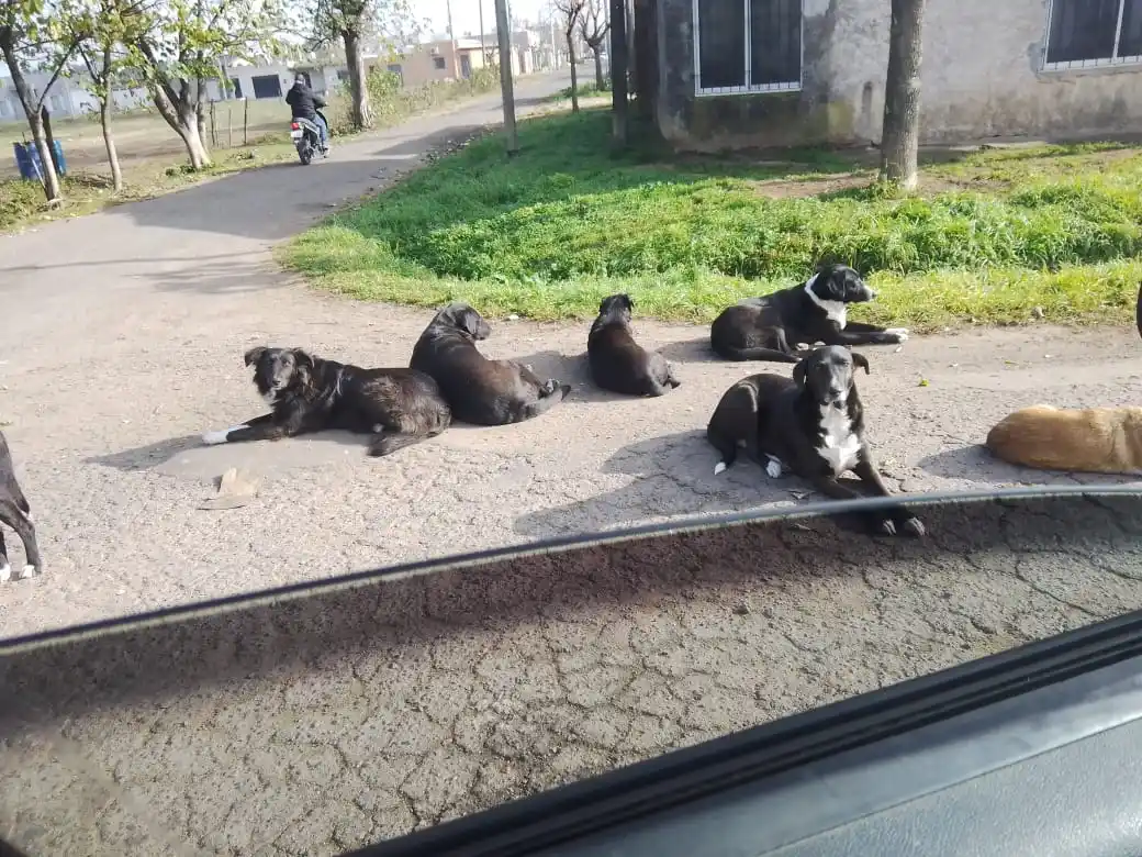 “Nadie pasa de esta esquina…”