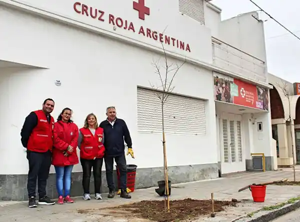 Repusieron árboles frente a la sede la de la Cruz Roja