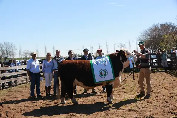 Comienza la cuenta regresiva para la Exposición Rural 