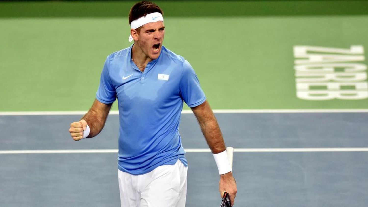 Final de Copa Davis: Heroica victoria de Del Potro 