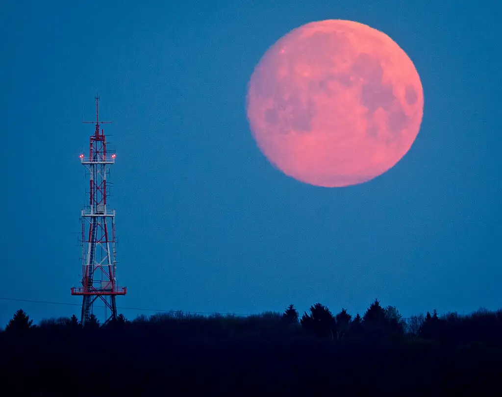Luna llena rosa