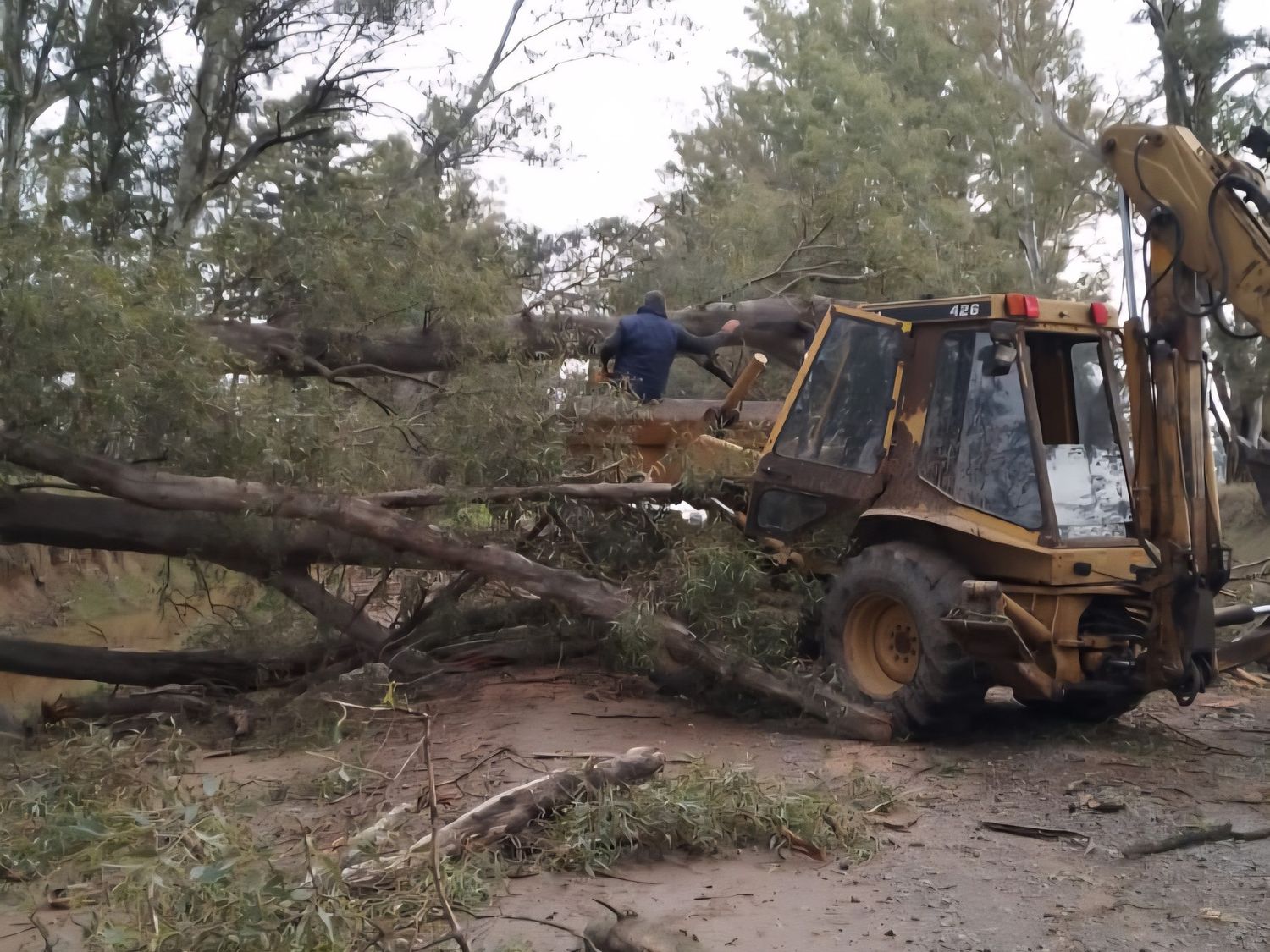 Maquinaria municipal trabajando para despejar la ruta.