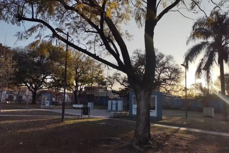 Sigue el tiempo espectacular para disfrutar en la ciudad