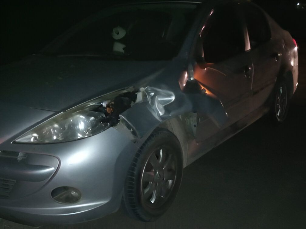 El Peugeot 207 era conducido por un vecino de José C. Paz