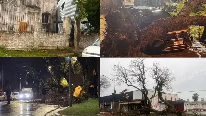 Desastre en Concordia: muros y árboles caídos, autos aplastados y zonas sin luz