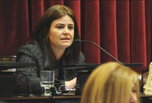 Piden información sobre la supuesta colaboración de las FFAA a la seguridad interna