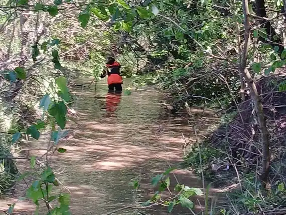 La Brigada K9 colaboró en el operativo que permitió hallar a Daiana Mendieta en Mansilla