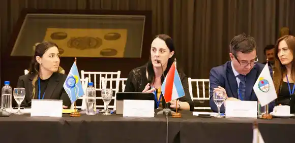 Comisión de Comercio Exterior e Inversiones del Consejo Federal de Relaciones Exteriores y Comercio Internacional