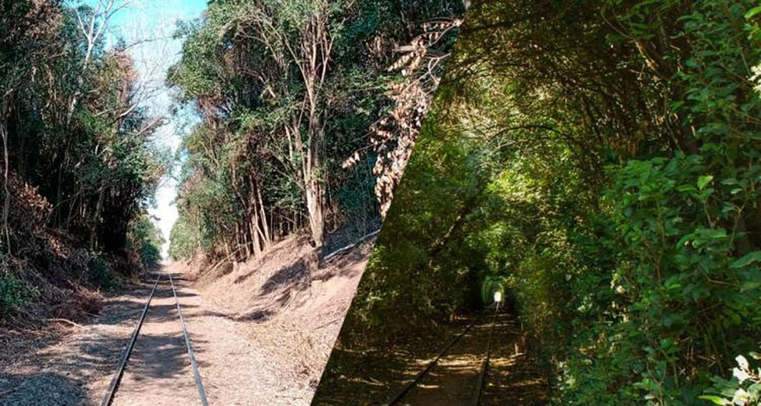 Talaron el “Túnel verde” en Moneta: apuntan a la empresa por un viejo reclamo del sindicato tras la muerte de un motorman