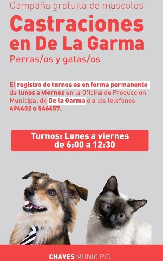 Sigue la campaña de castraciones gratuita en De La Garma