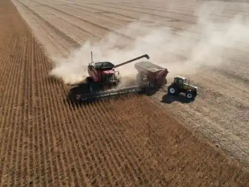 Estados Unidos oficializó un acuerdo comercial con Argentina: ¿Qué implica para el agro?