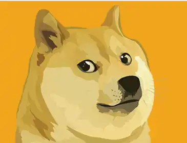 DOGECOIN: el dinero del futuro