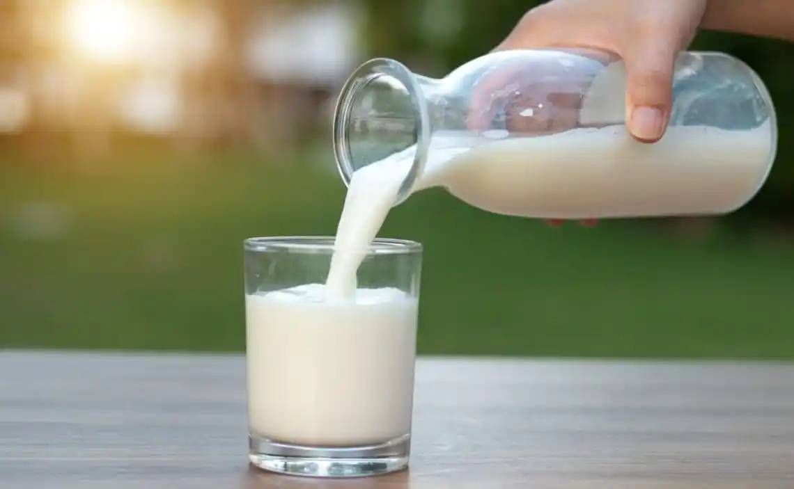 Día Mundial de la Leche: ¿por qué se celebra hoy, 1 de junio?