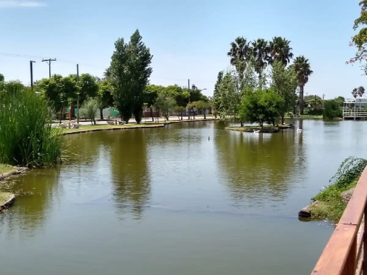 En La Para y Chipión siembran peces larvívoros para prevenir el dengue