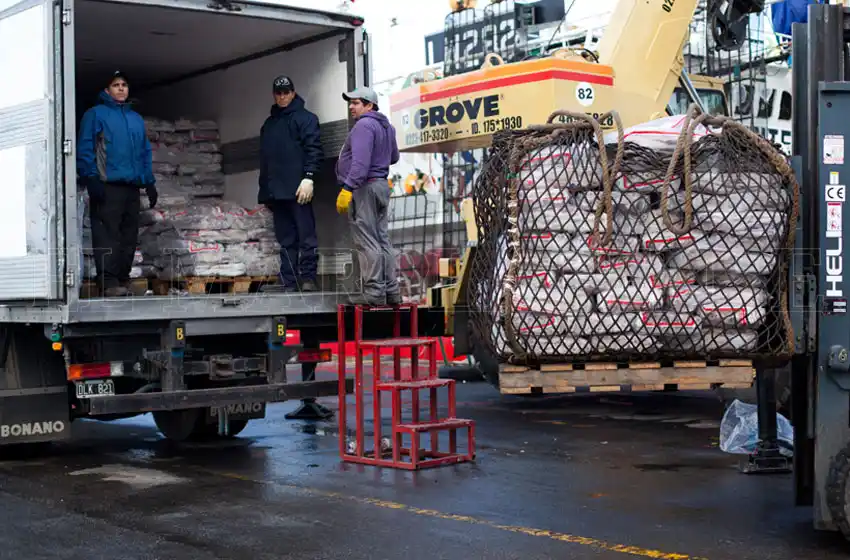 Estibadores, en "alerta" por falta de ayuda económica del Gobierno
