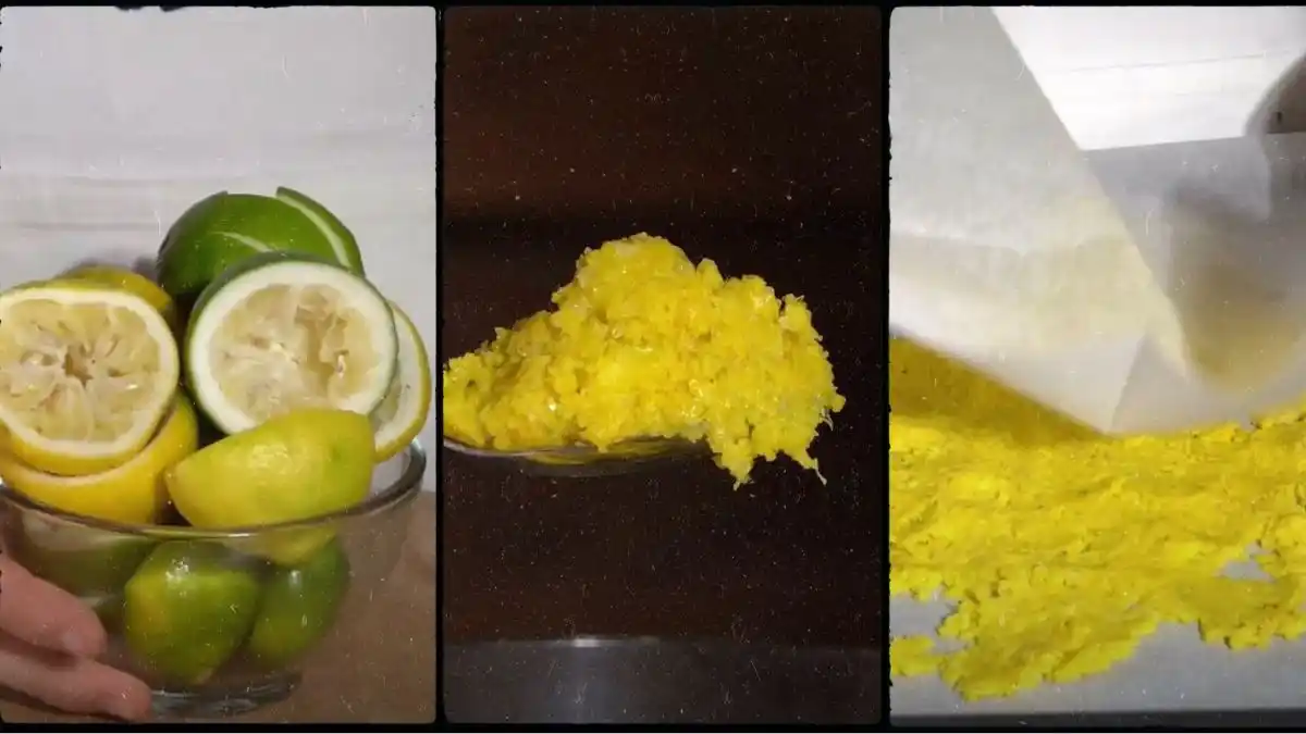 Sal dorada con solo tres ingredientes (Video)