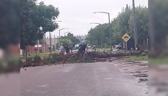 Árbol caído en Boulevard Moreno al 1400