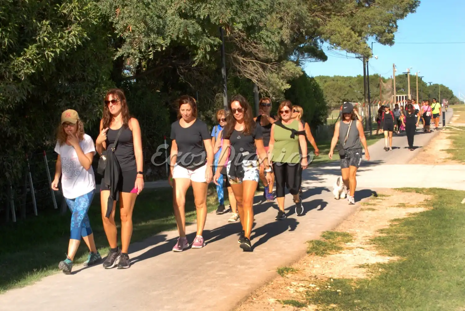 Caminata solidaria del Colegio de Magistrados y Funcionarios