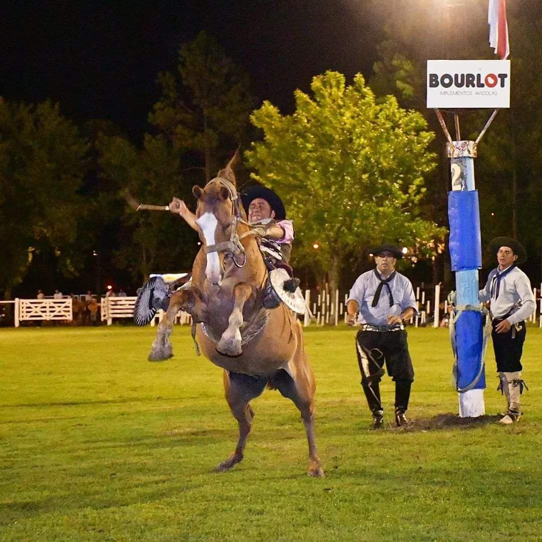 fiesta caballo 2