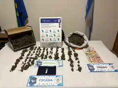 Tras seis meses de investigación, la policía arrestó a una pareja y secuestró marihuana y cocaína