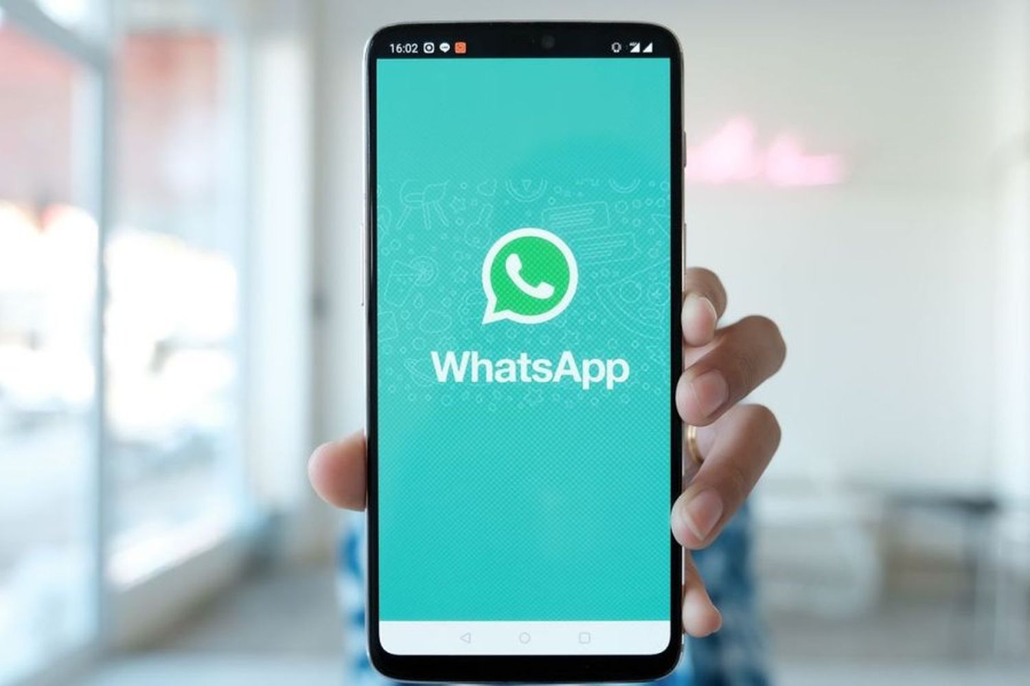 Novedades en WhatsApp: modo invisible, encuestas en los grupos y su primera película