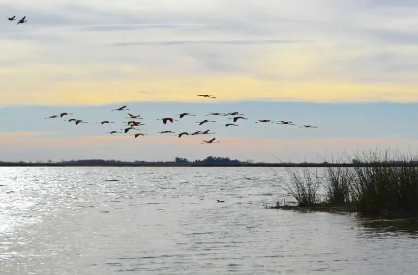 Un proyecto busca declarar la laguna El Hinojo como Área Natural Protegida