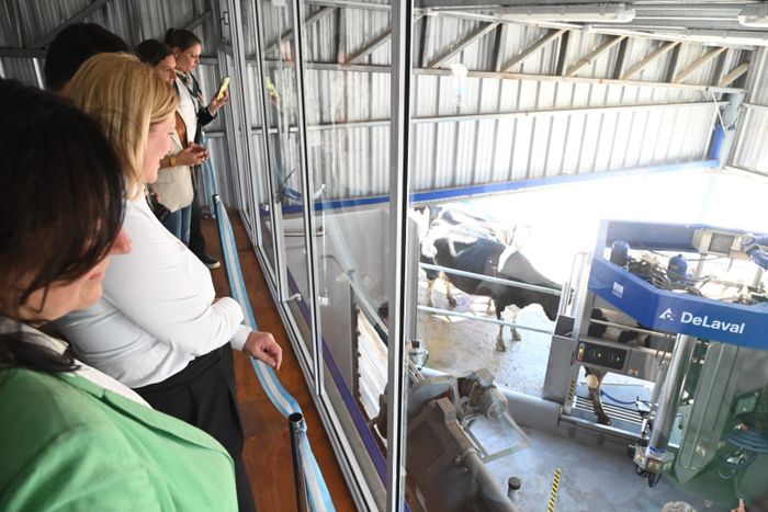 Scaglia Venado Tuerto