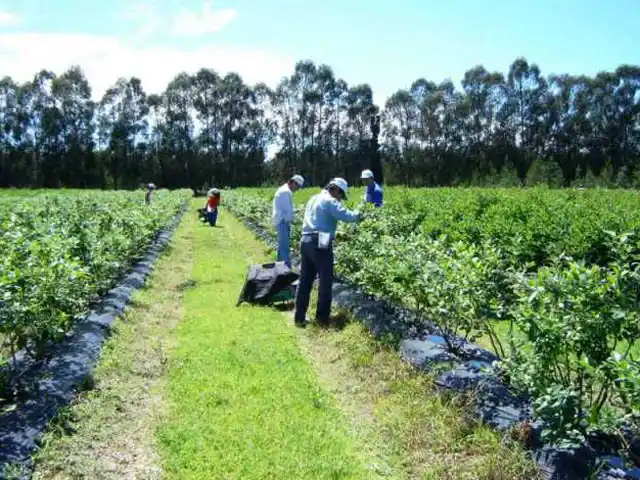 La provincia presentó una denuncia penal por trabajo infantil