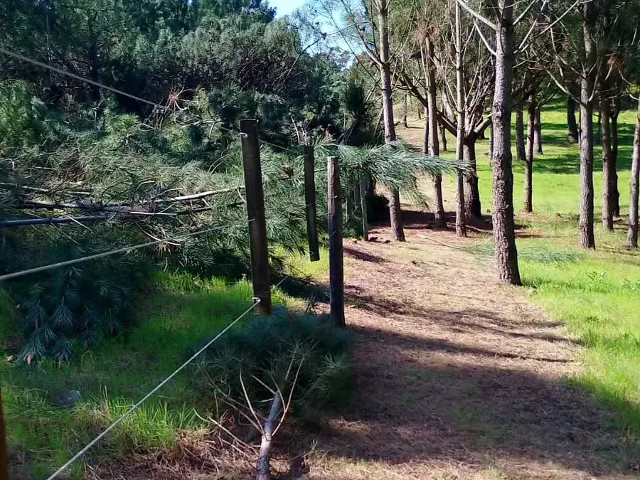 Prevención. Para reducir el riesgo de incendios en Arenas Verdes